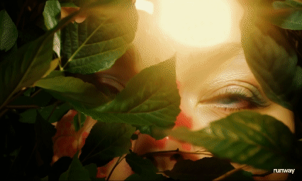 Diffused lighting example