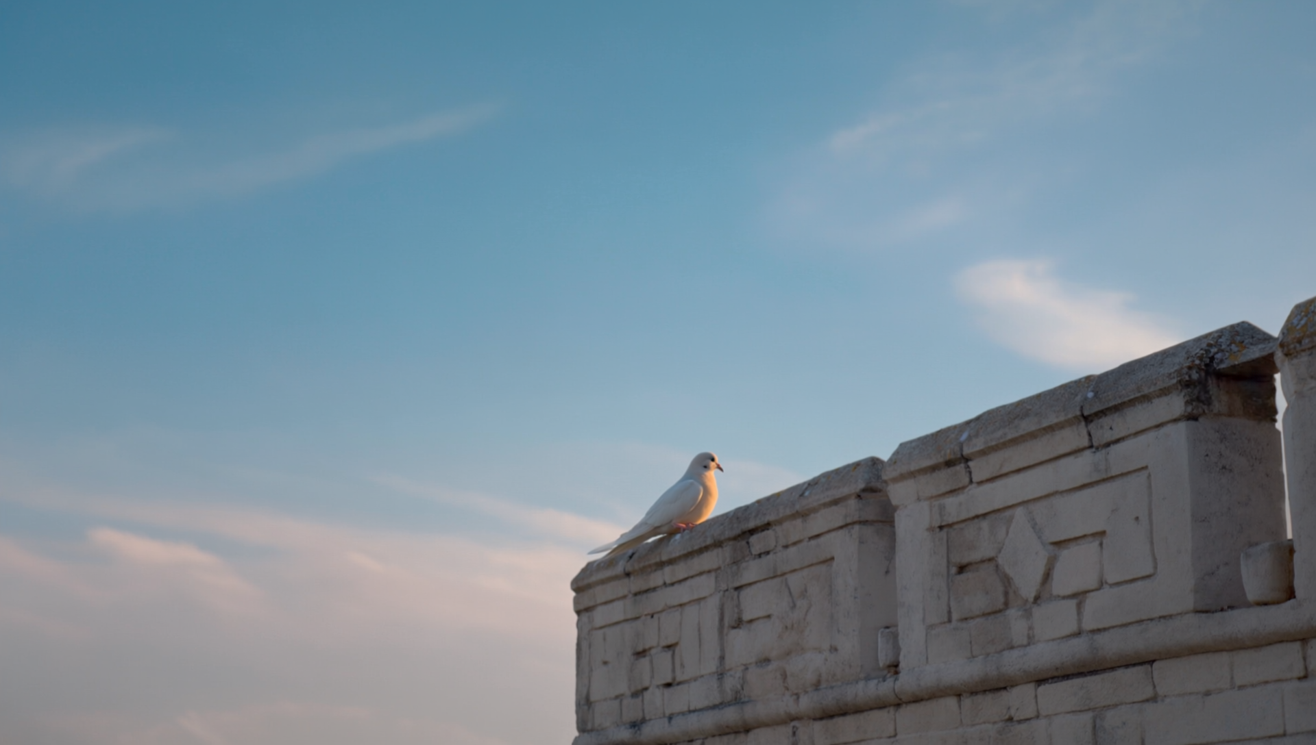 Gen4 closely frame a white dove resting atop the city wall in @elfnew  sky visible in  a-2, 4895071.png