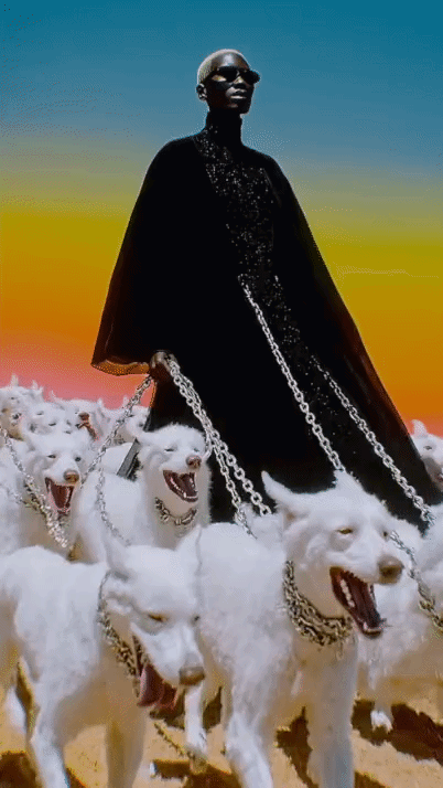 Original vertical video of a figure in a black cape leading white wolves across a desert