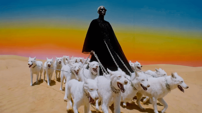 The same video expanded from vertical to widescreen aspect ratio, with the desert and colorful sky seamlessly filled in on either side